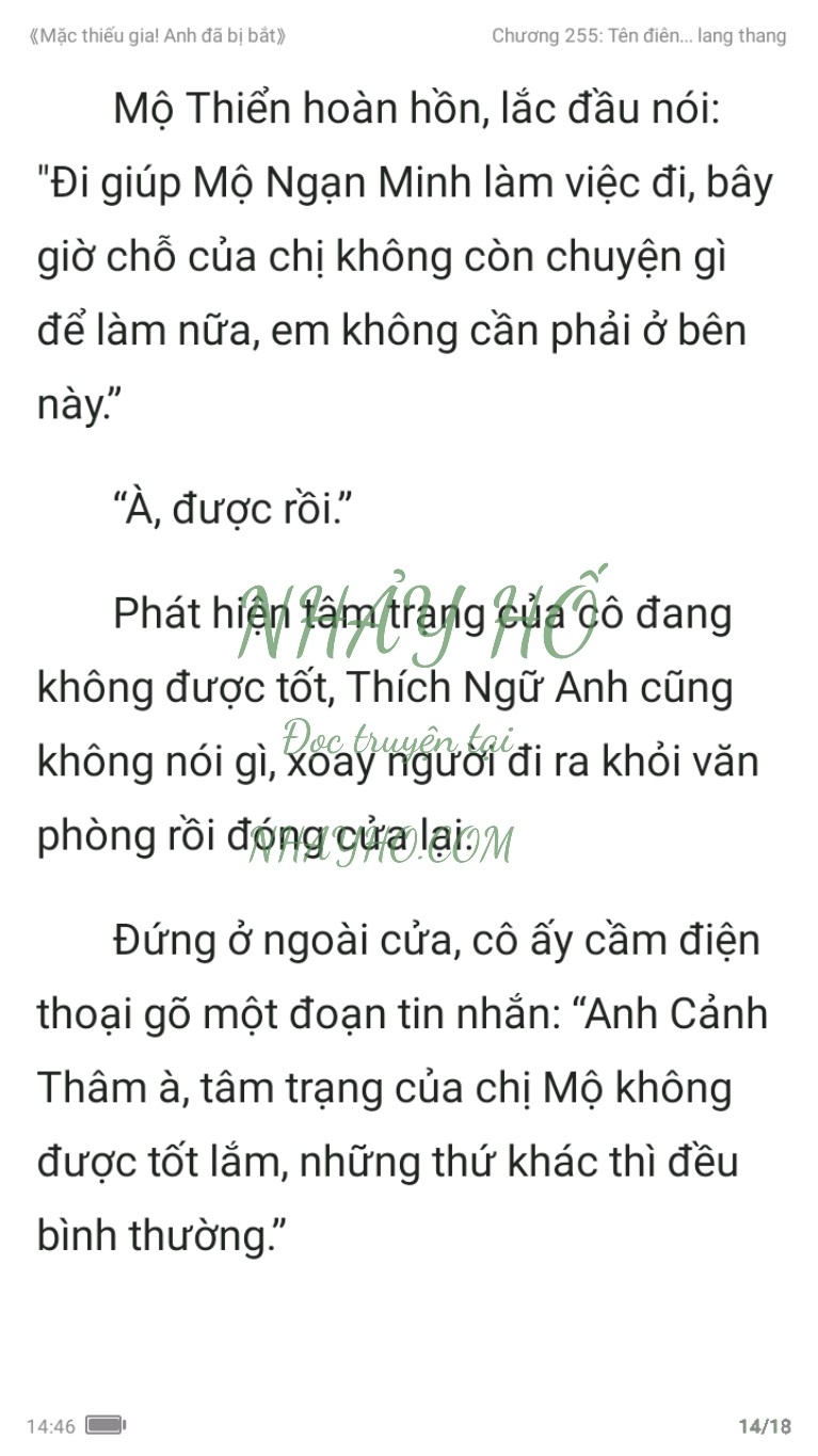 mac-thieu-gia-anh-da-bi-bat-255-13