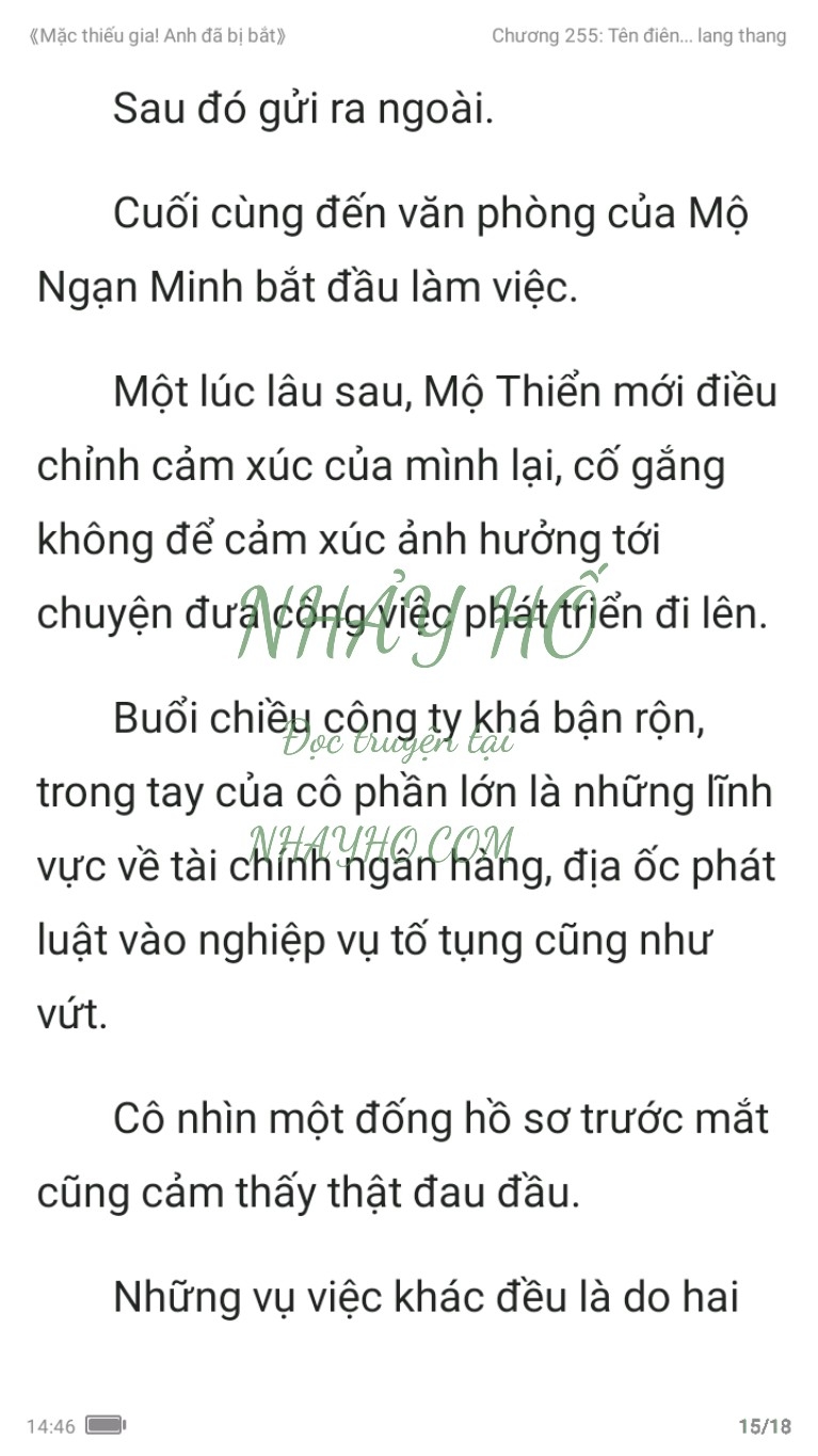 mac-thieu-gia-anh-da-bi-bat-255-14