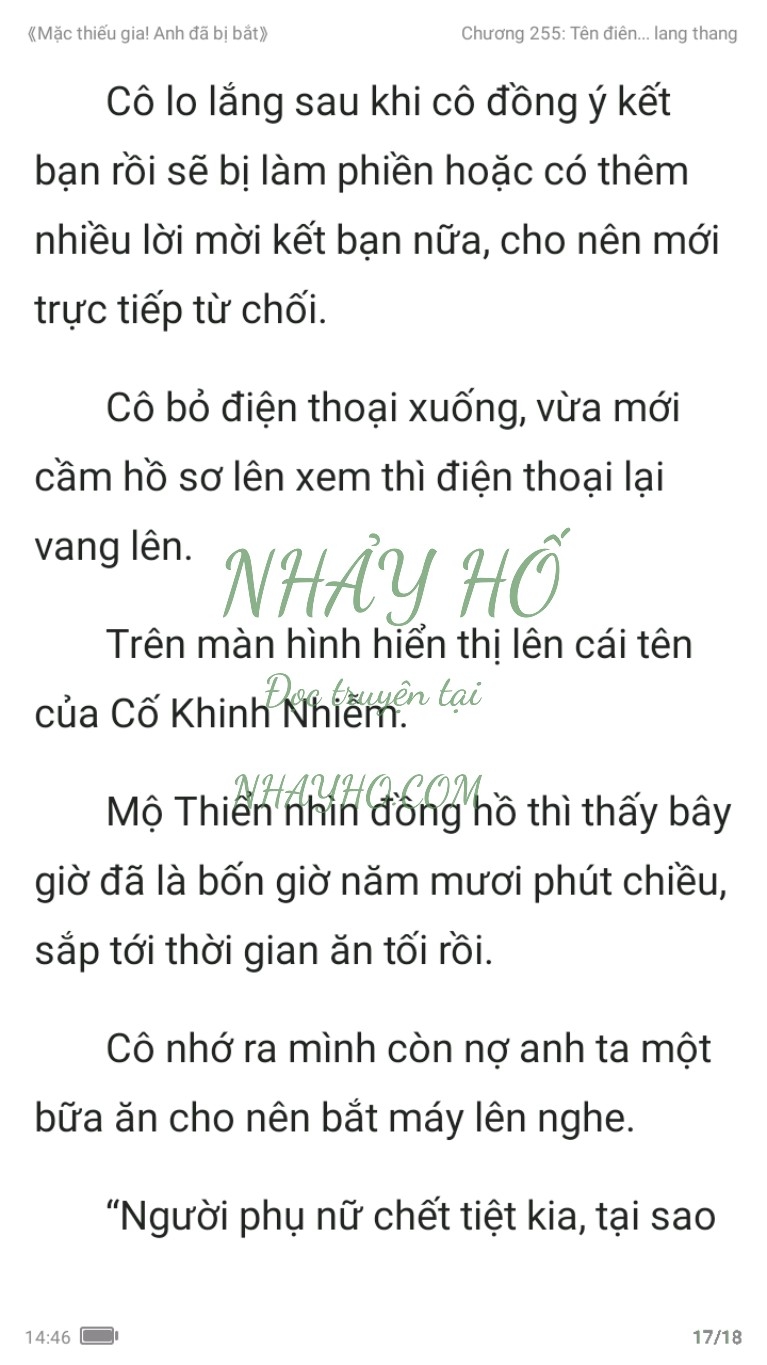 mac-thieu-gia-anh-da-bi-bat-255-16