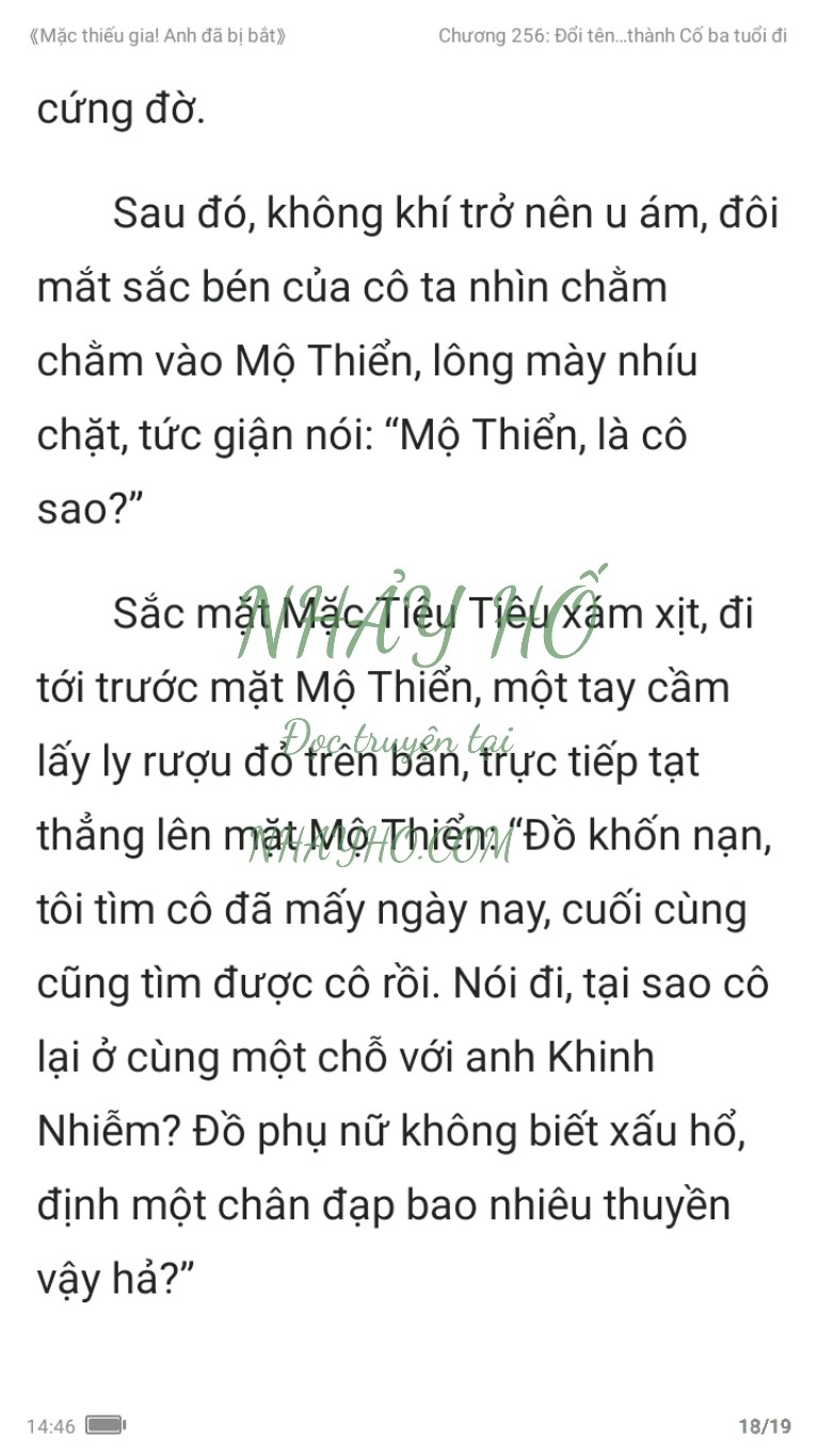 mac-thieu-gia-anh-da-bi-bat-256-17