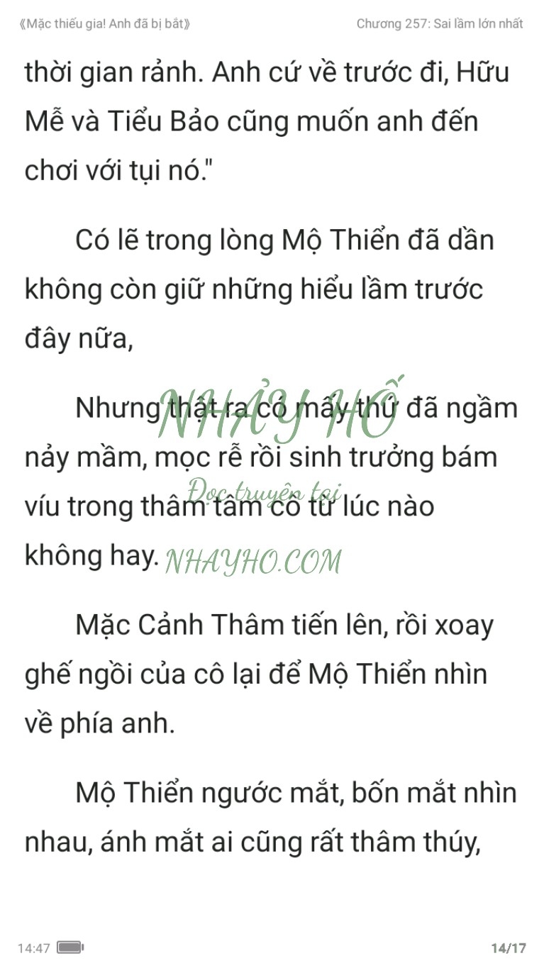 mac-thieu-gia-anh-da-bi-bat-257-13