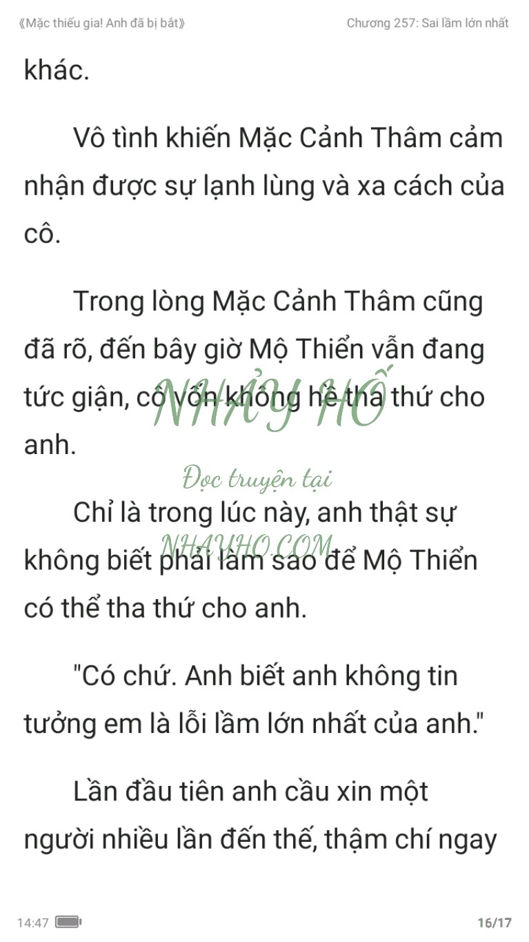 mac-thieu-gia-anh-da-bi-bat-257-15