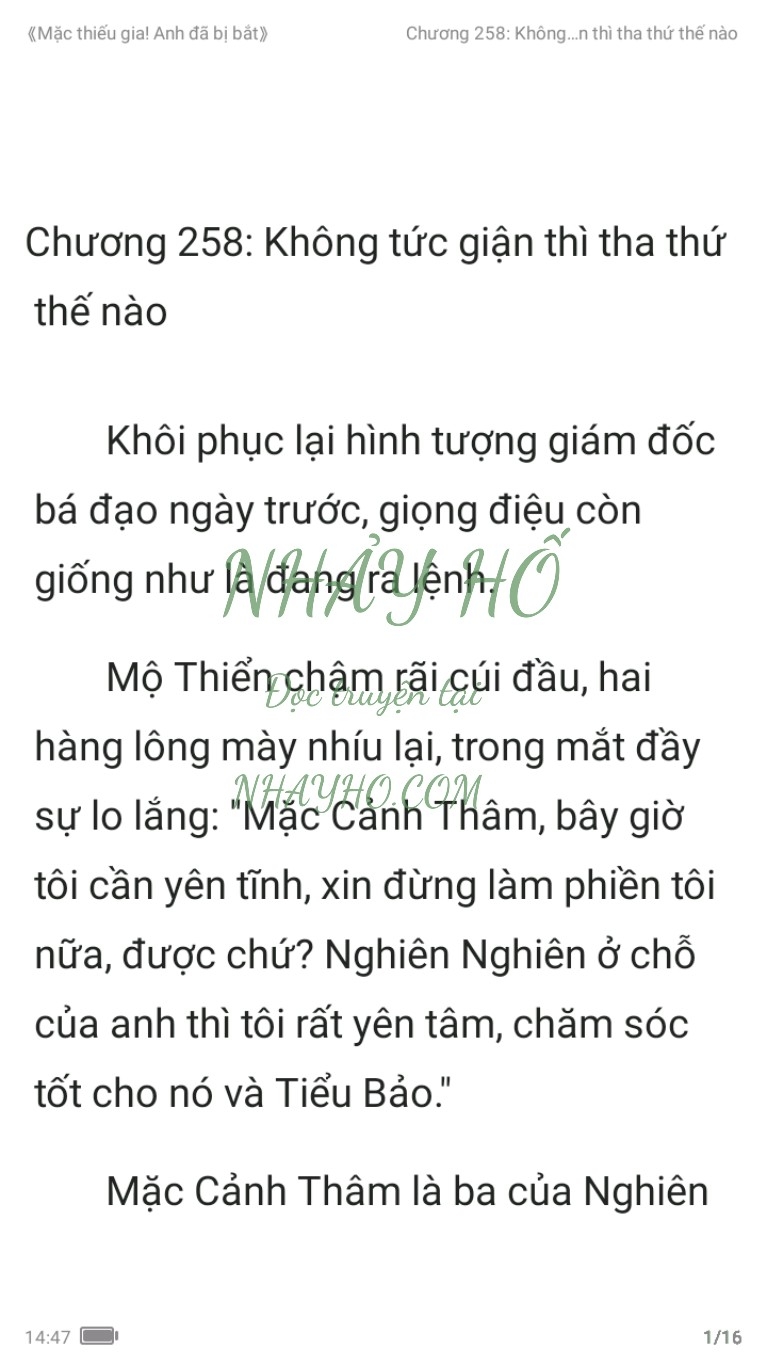 mac-thieu-gia-anh-da-bi-bat-258-0