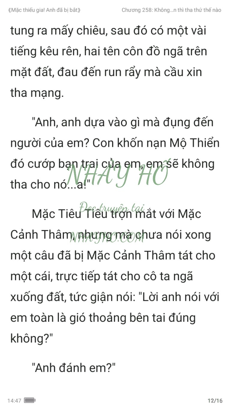 mac-thieu-gia-anh-da-bi-bat-258-11