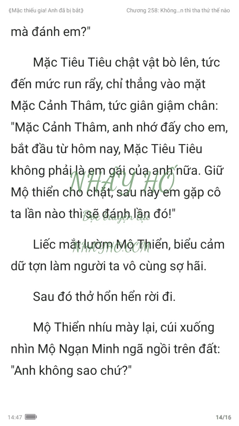 mac-thieu-gia-anh-da-bi-bat-258-13