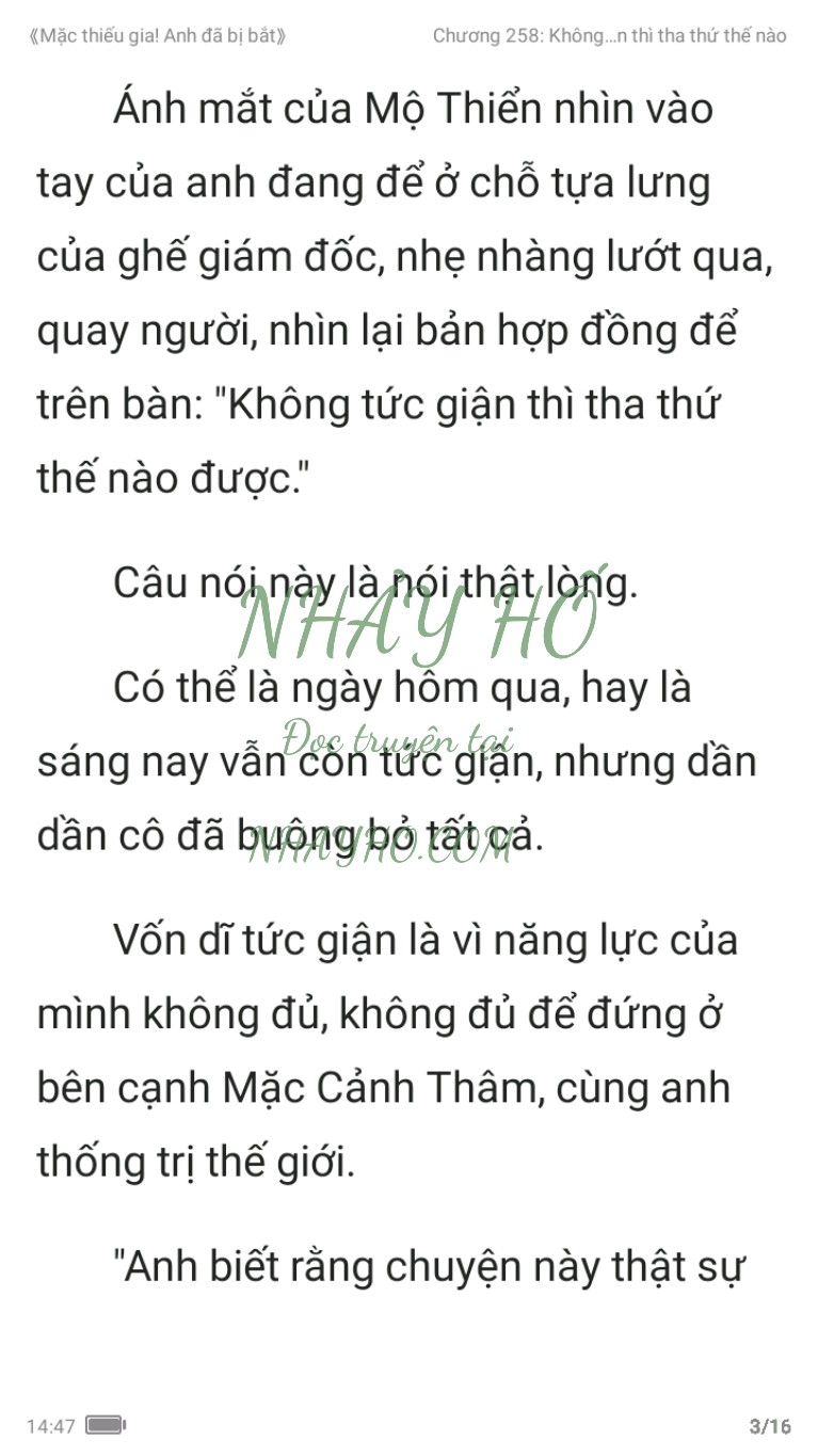 mac-thieu-gia-anh-da-bi-bat-258-2