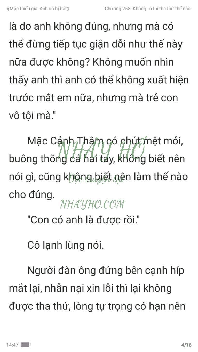 mac-thieu-gia-anh-da-bi-bat-258-3