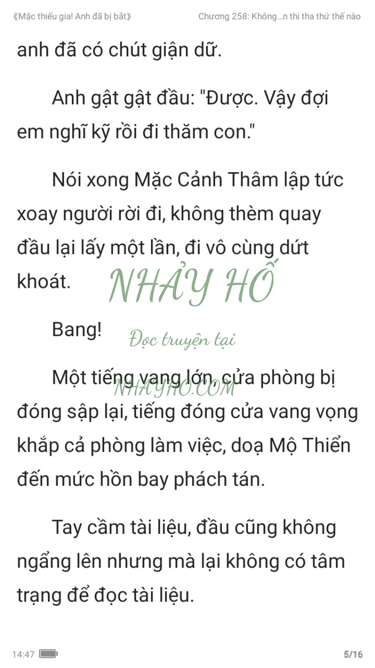 mac-thieu-gia-anh-da-bi-bat-258-4