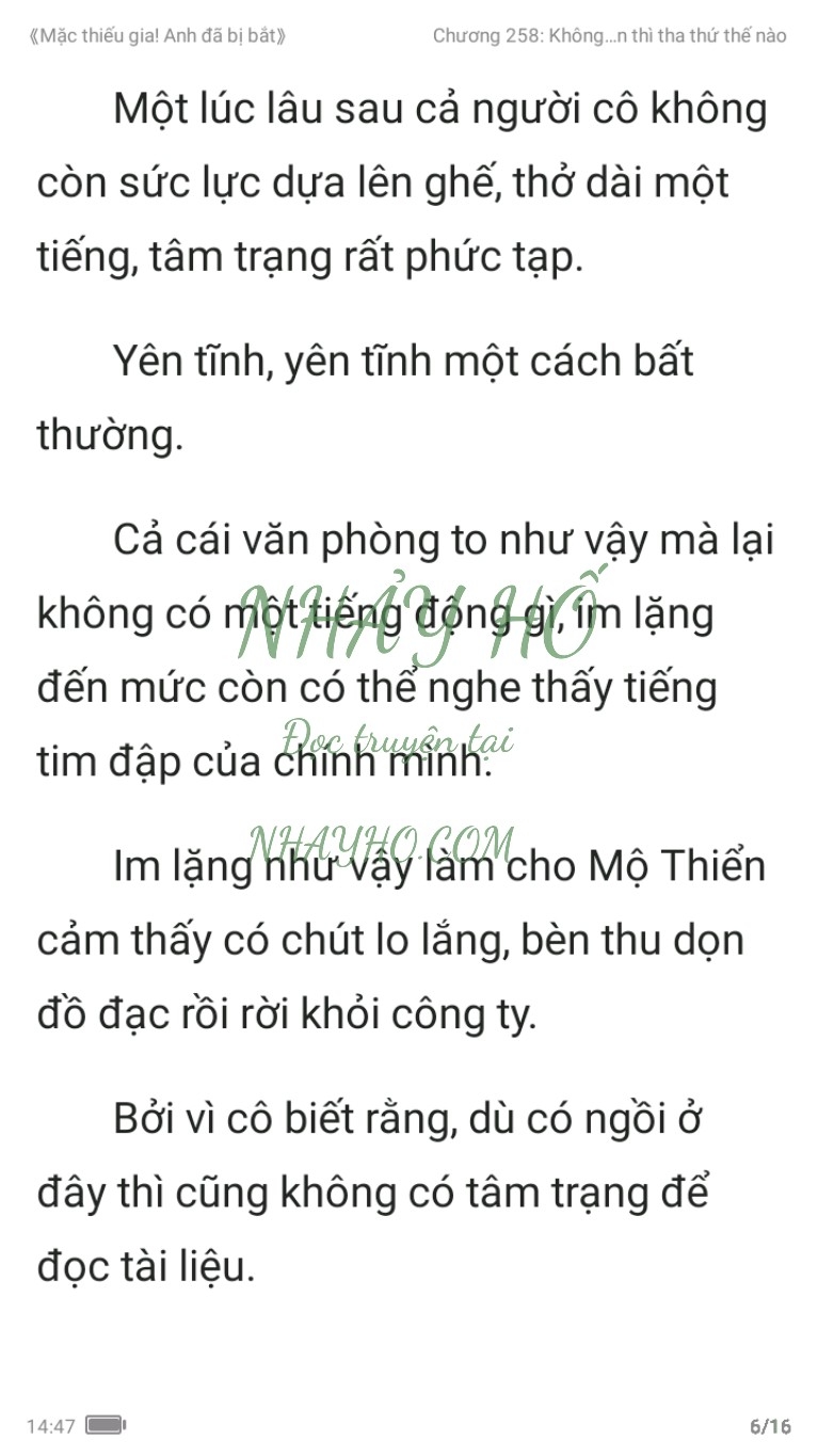 mac-thieu-gia-anh-da-bi-bat-258-5