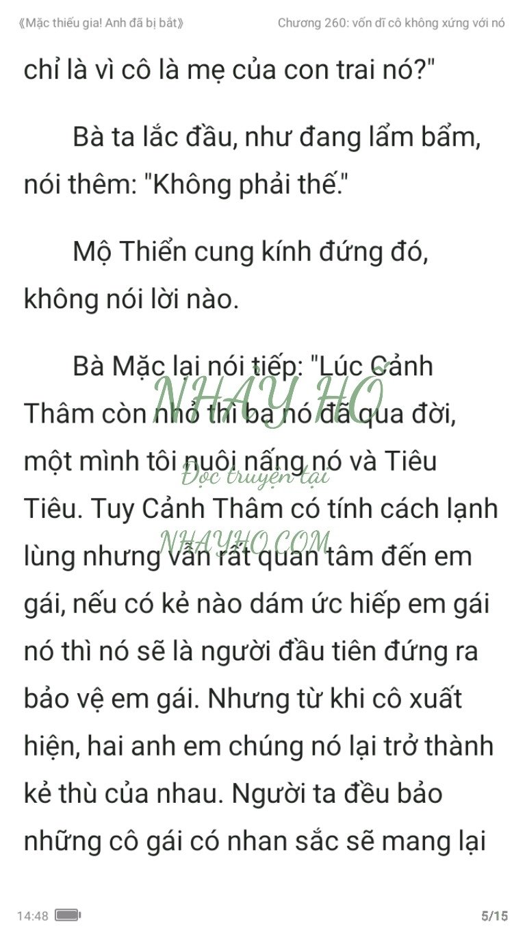 mac-thieu-gia-anh-da-bi-bat-260-4