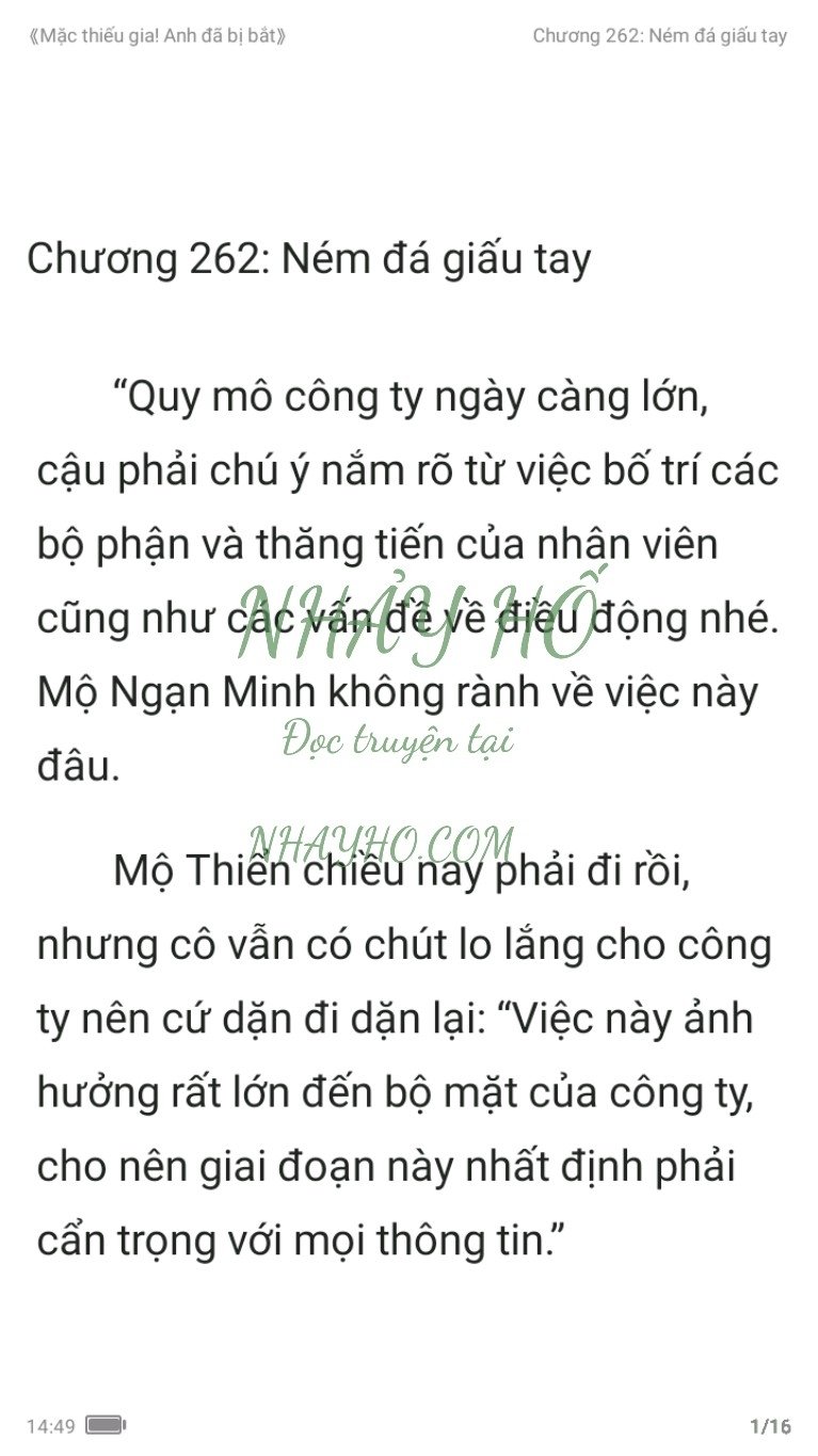 mac-thieu-gia-anh-da-bi-bat-262-0