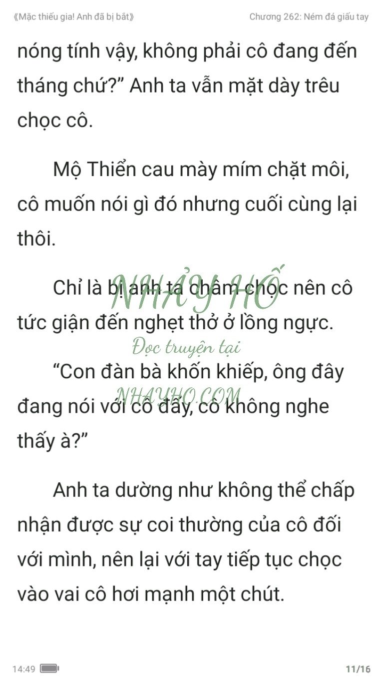 mac-thieu-gia-anh-da-bi-bat-262-10