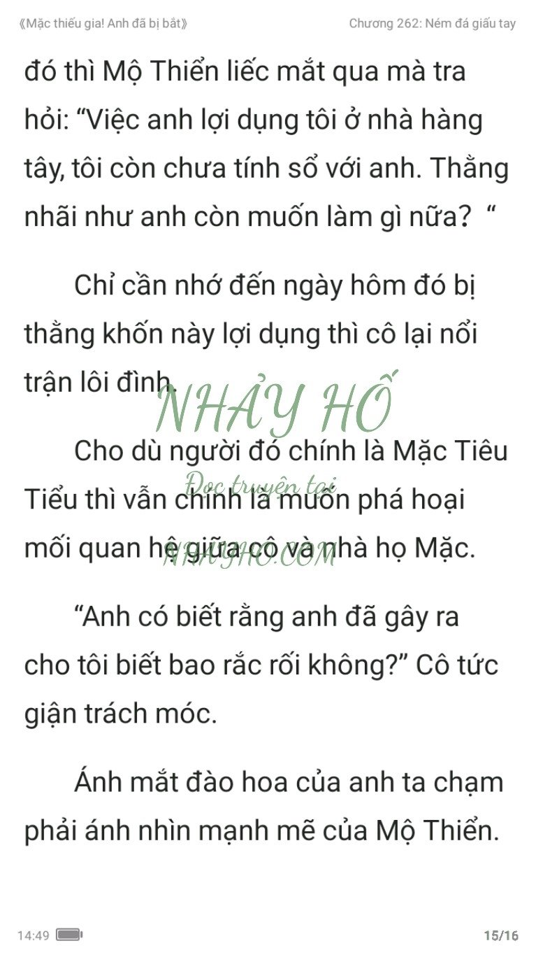 mac-thieu-gia-anh-da-bi-bat-262-14