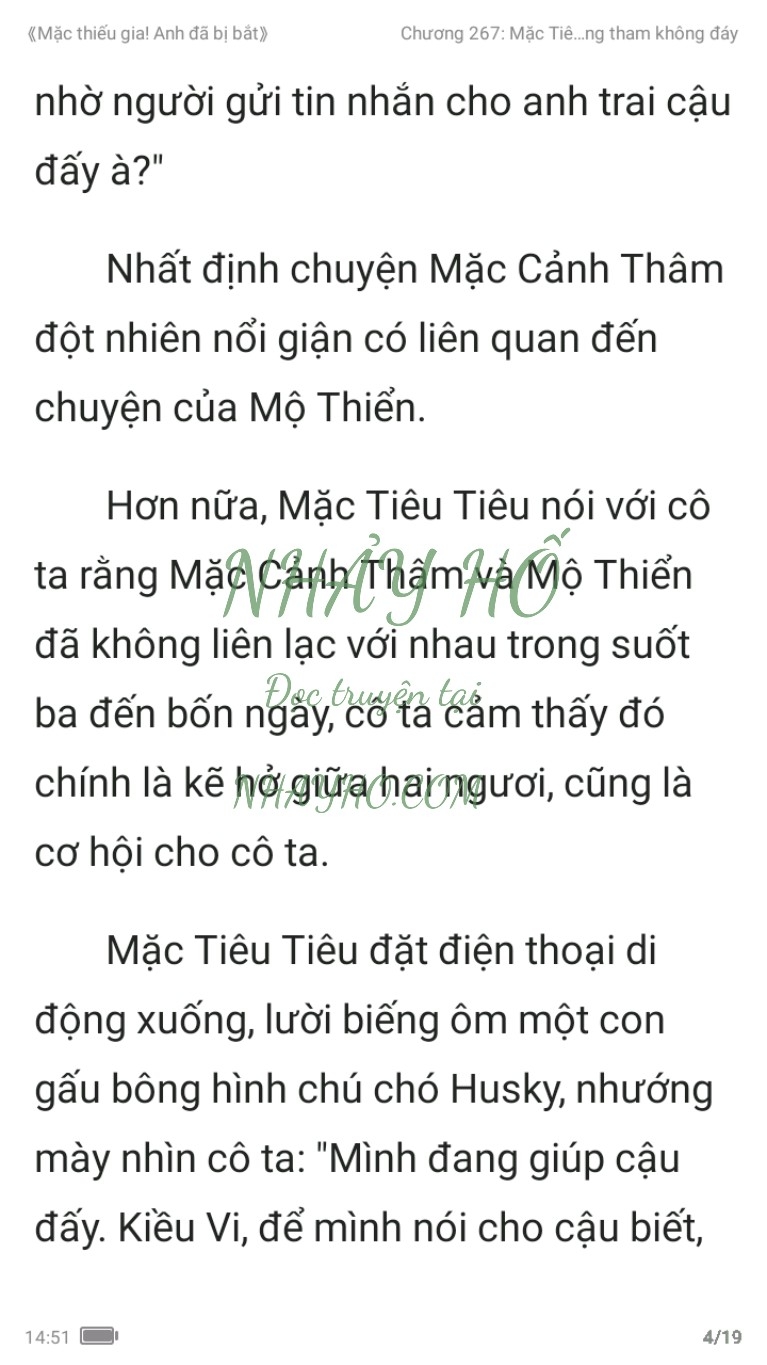 mac-thieu-gia-anh-da-bi-bat-267-3