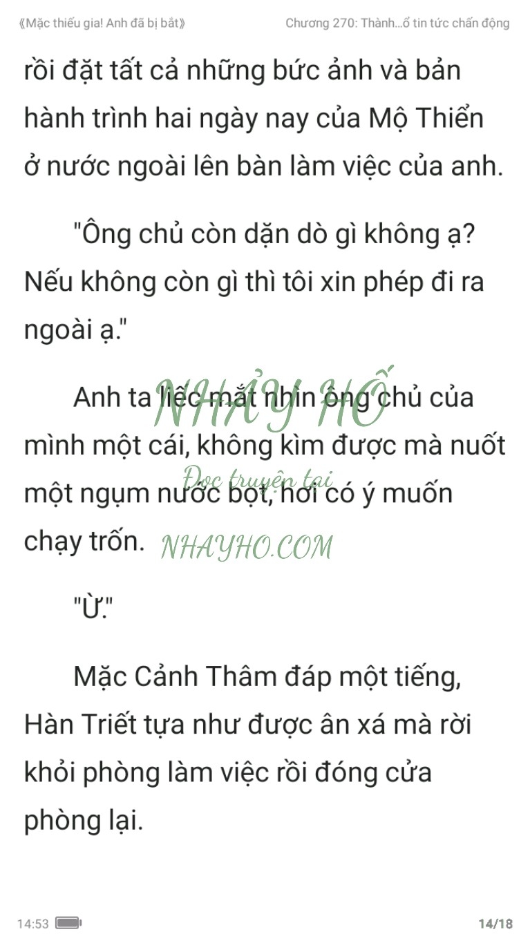 mac-thieu-gia-anh-da-bi-bat-270-13