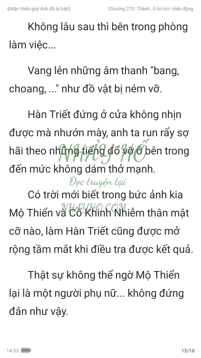 mac-thieu-gia-anh-da-bi-bat-270-14