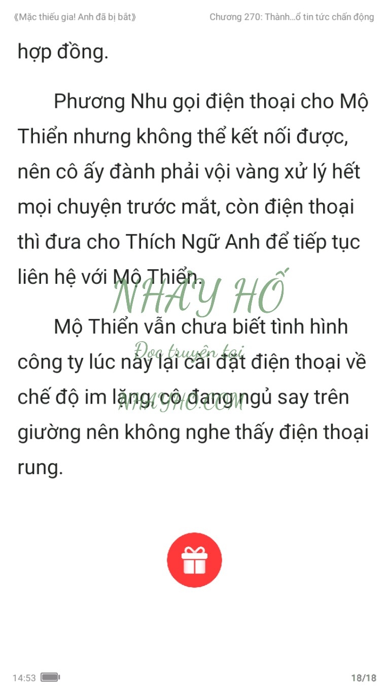 mac-thieu-gia-anh-da-bi-bat-270-17