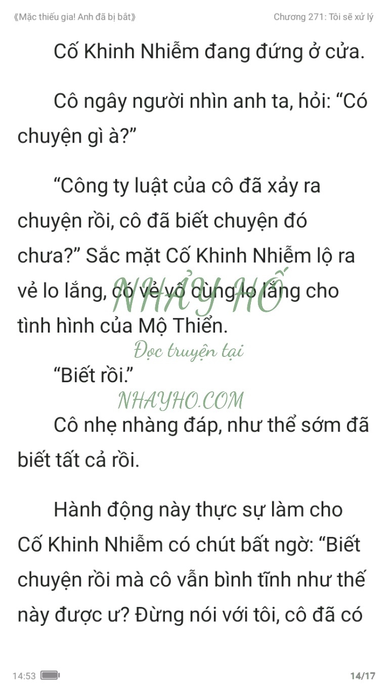 mac-thieu-gia-anh-da-bi-bat-271-13