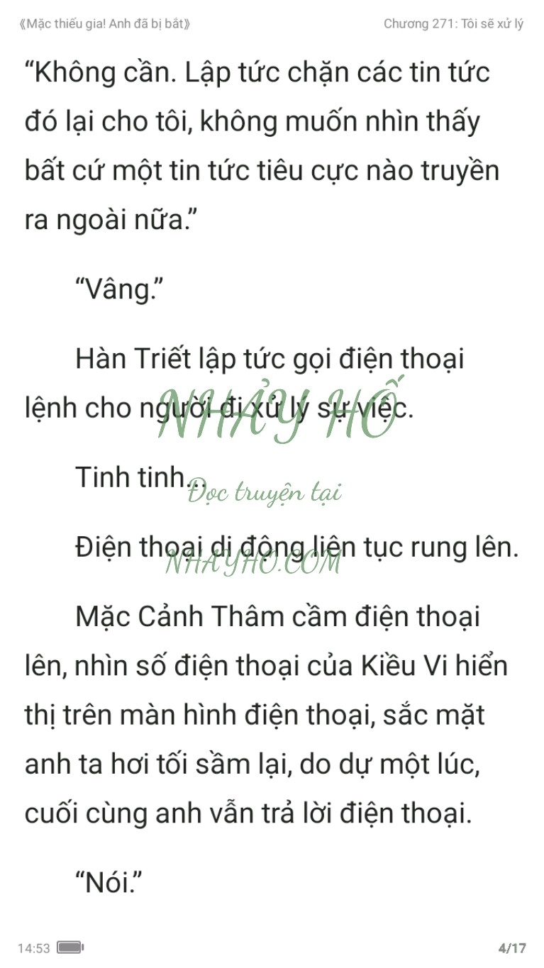 mac-thieu-gia-anh-da-bi-bat-271-3