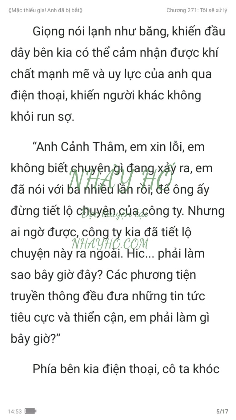 mac-thieu-gia-anh-da-bi-bat-271-4