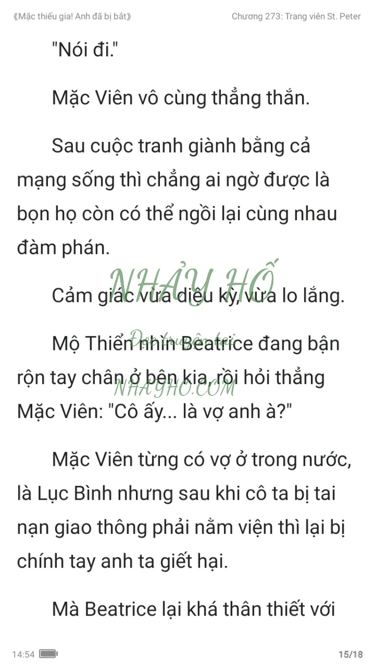 mac-thieu-gia-anh-da-bi-bat-273-14