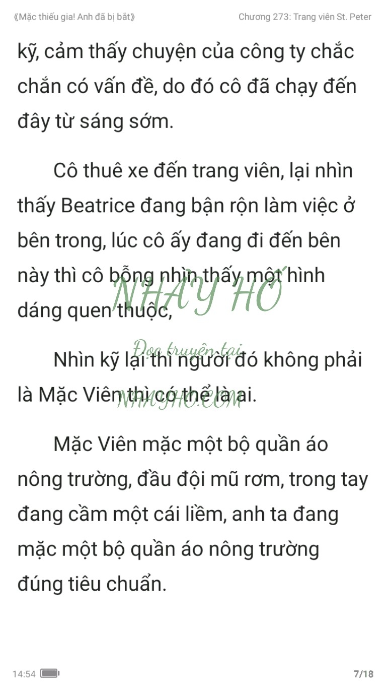 mac-thieu-gia-anh-da-bi-bat-273-6