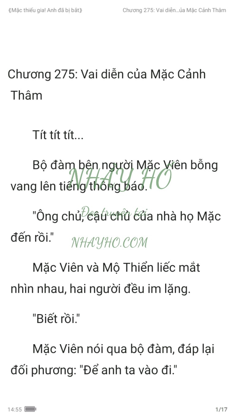 mac-thieu-gia-anh-da-bi-bat-275-0