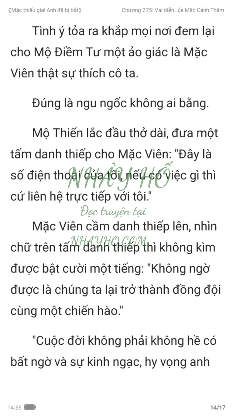 mac-thieu-gia-anh-da-bi-bat-275-13