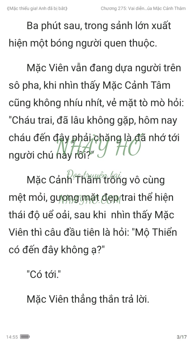 mac-thieu-gia-anh-da-bi-bat-275-2