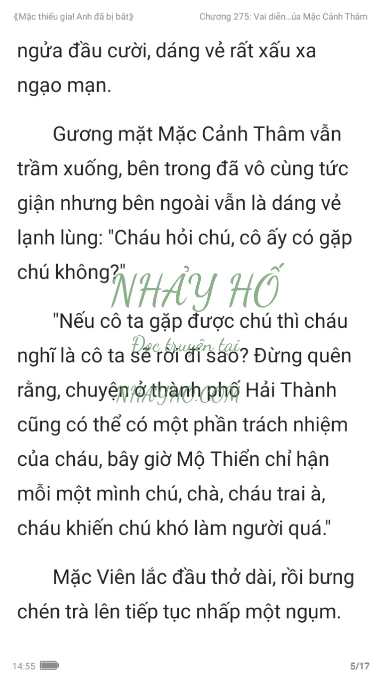 mac-thieu-gia-anh-da-bi-bat-275-4