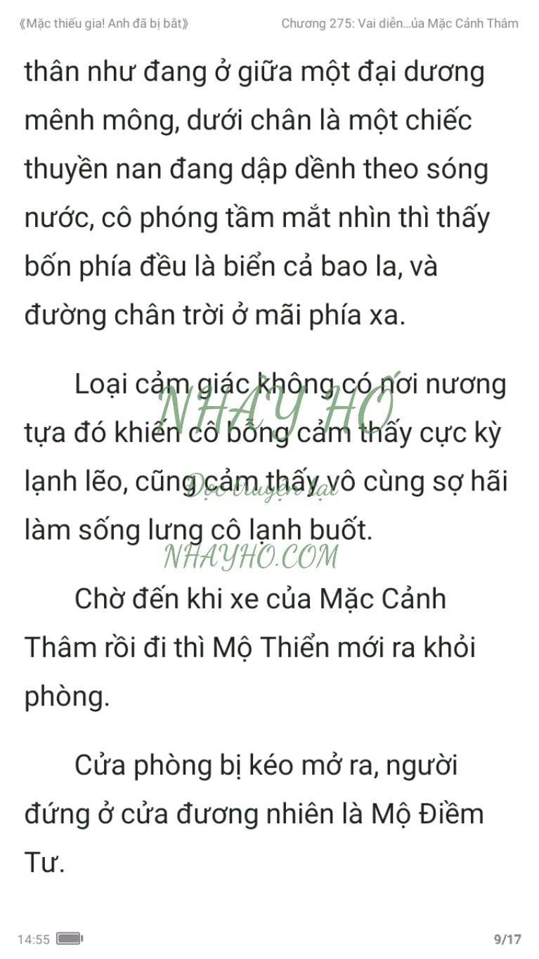 mac-thieu-gia-anh-da-bi-bat-275-8