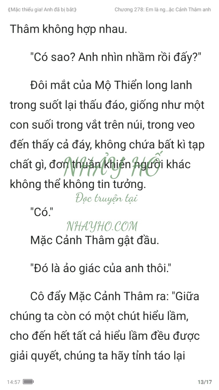 mac-thieu-gia-anh-da-bi-bat-278-12