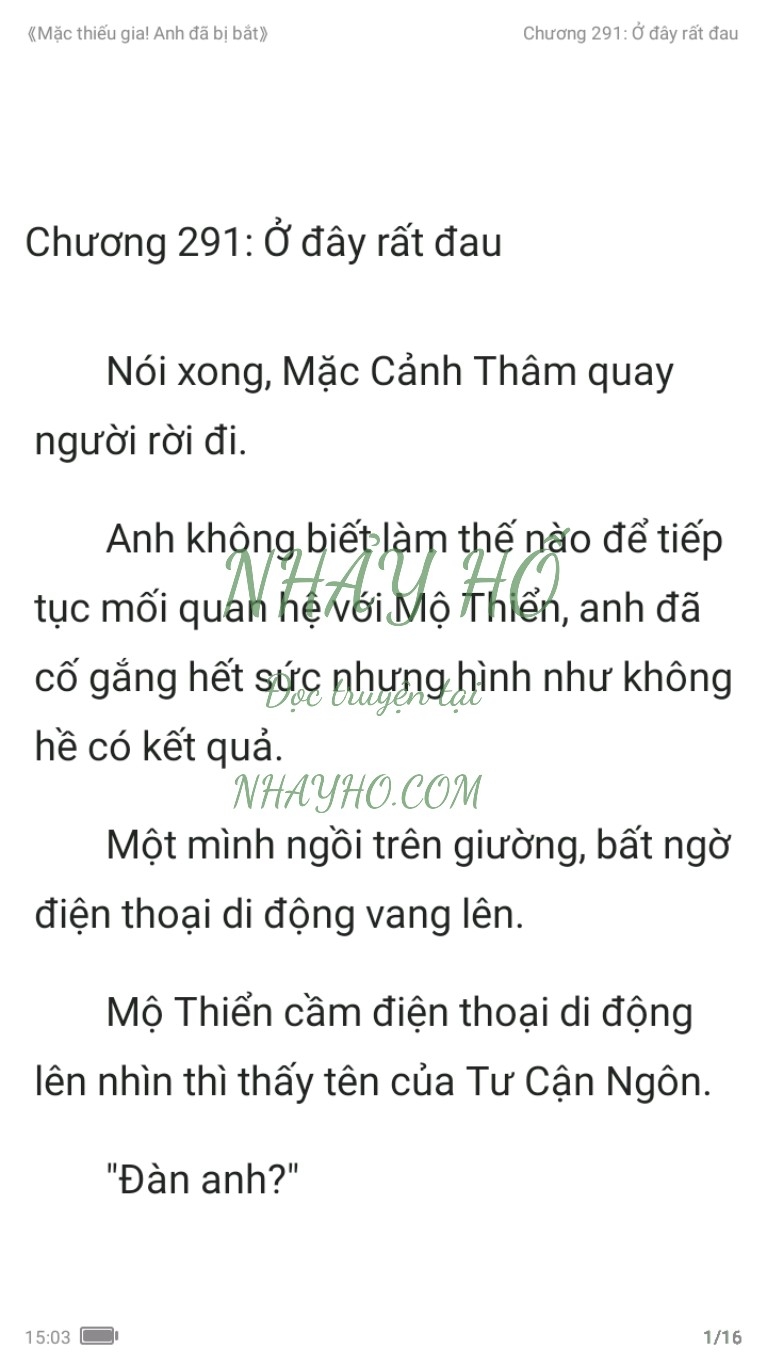 mac-thieu-gia-anh-da-bi-bat-291-0