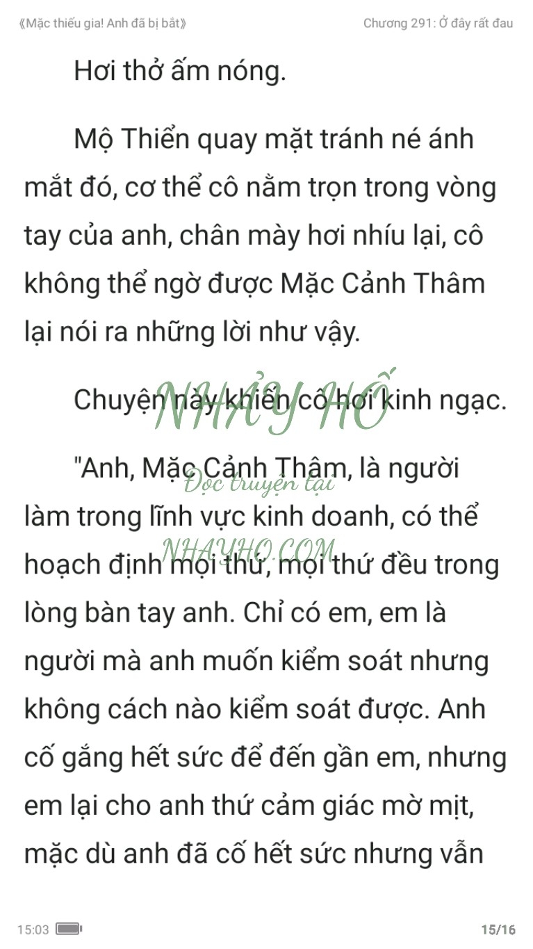 mac-thieu-gia-anh-da-bi-bat-291-14