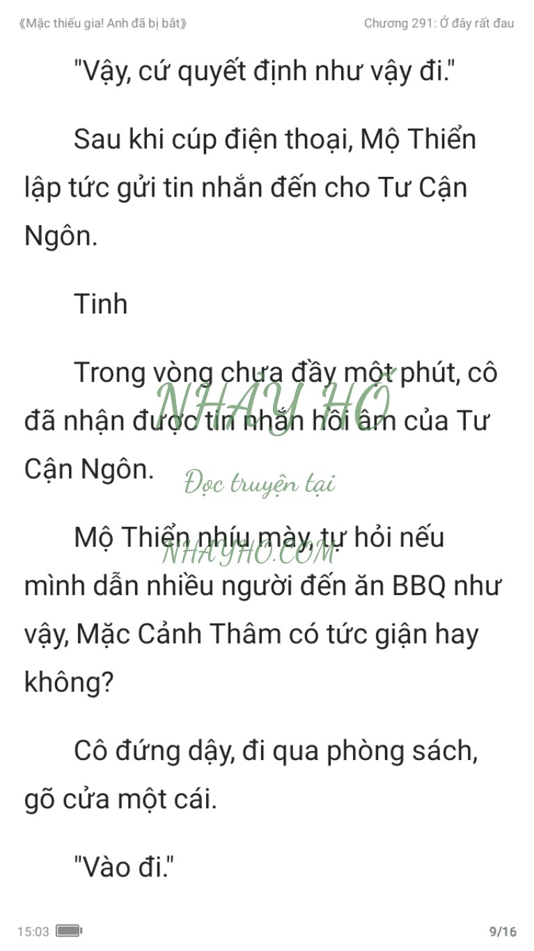 mac-thieu-gia-anh-da-bi-bat-291-8