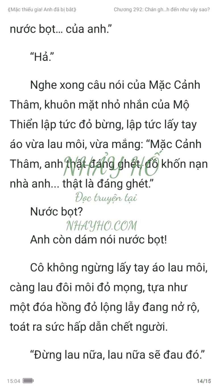 mac-thieu-gia-anh-da-bi-bat-292-13