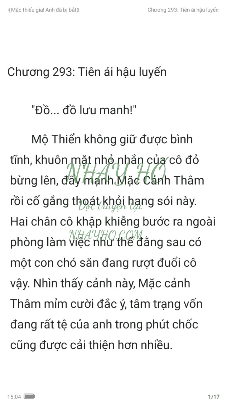 mac-thieu-gia-anh-da-bi-bat-293-0