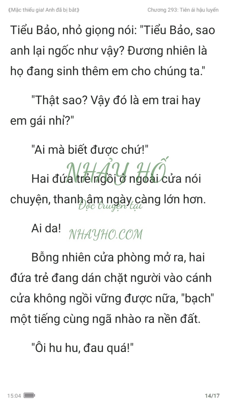 mac-thieu-gia-anh-da-bi-bat-293-13