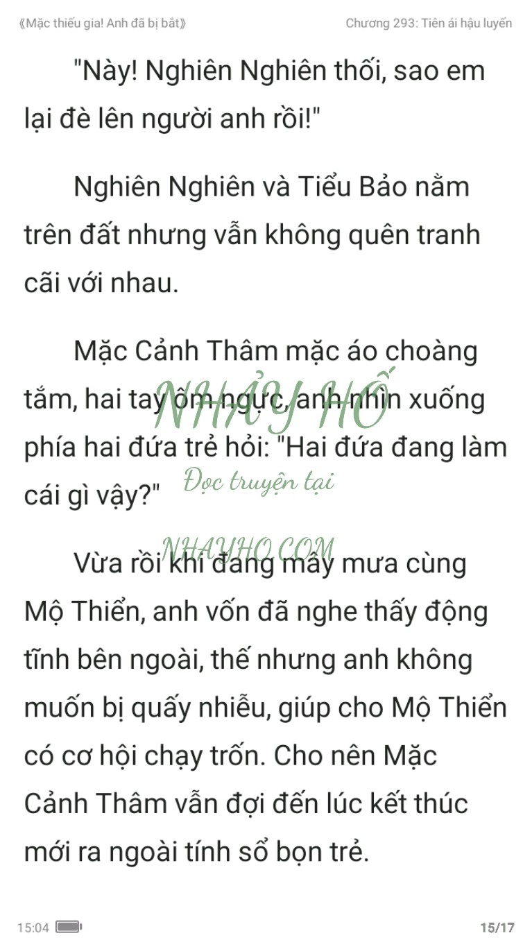 mac-thieu-gia-anh-da-bi-bat-293-14