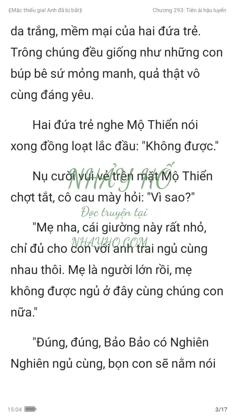 mac-thieu-gia-anh-da-bi-bat-293-2