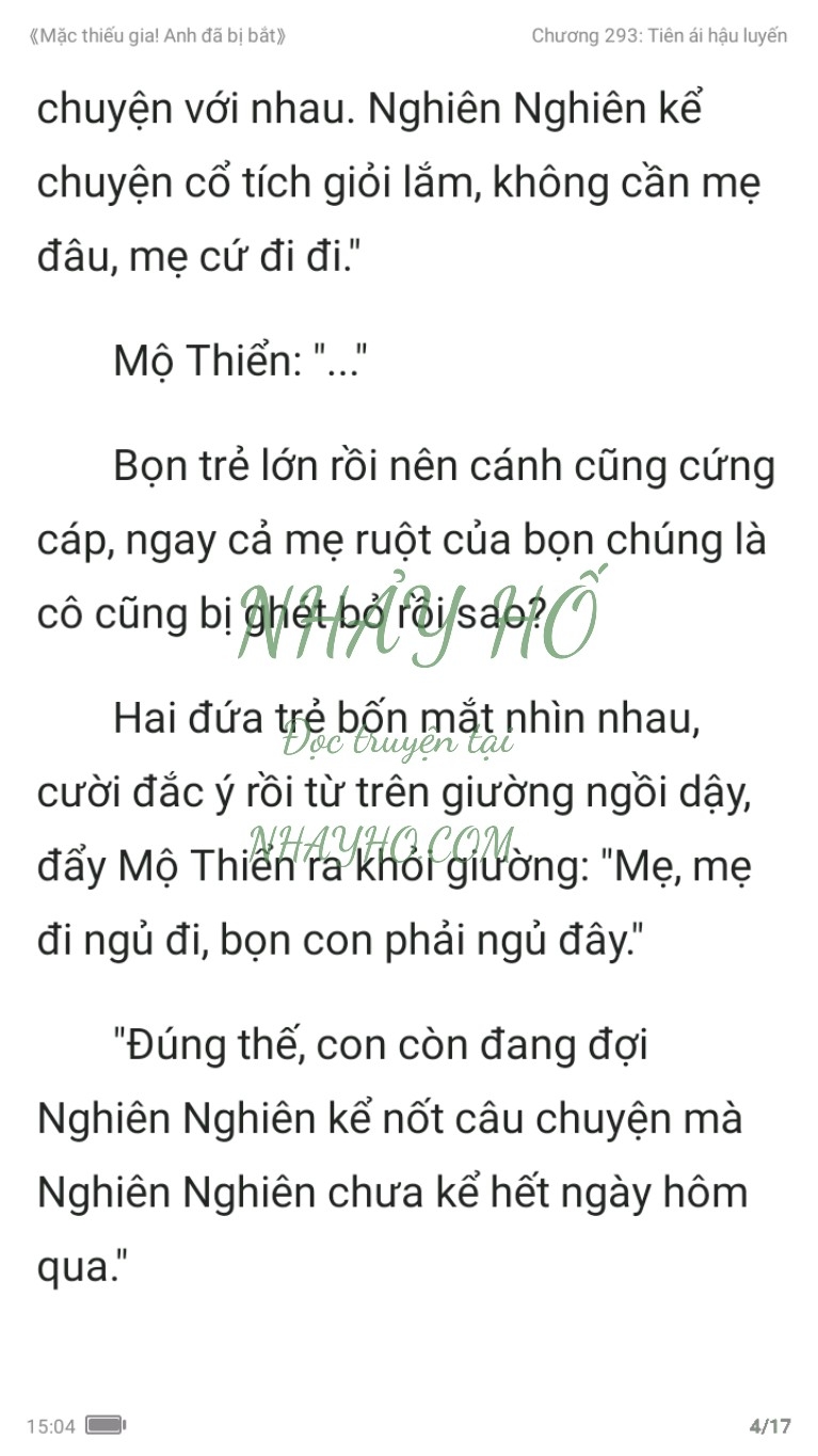 mac-thieu-gia-anh-da-bi-bat-293-3