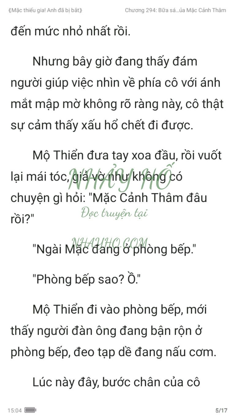 mac-thieu-gia-anh-da-bi-bat-294-4