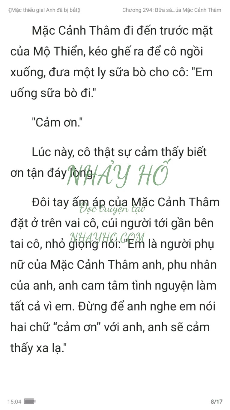 mac-thieu-gia-anh-da-bi-bat-294-7