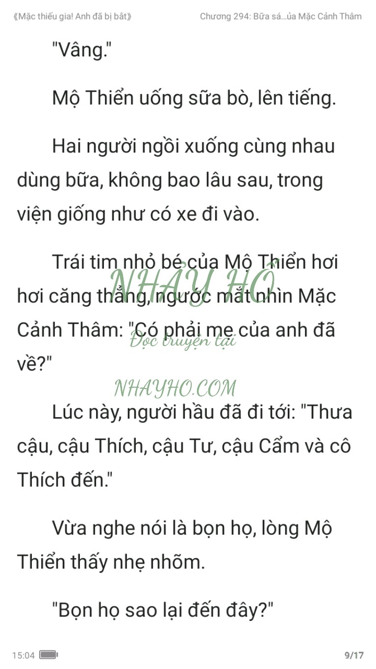 mac-thieu-gia-anh-da-bi-bat-294-8