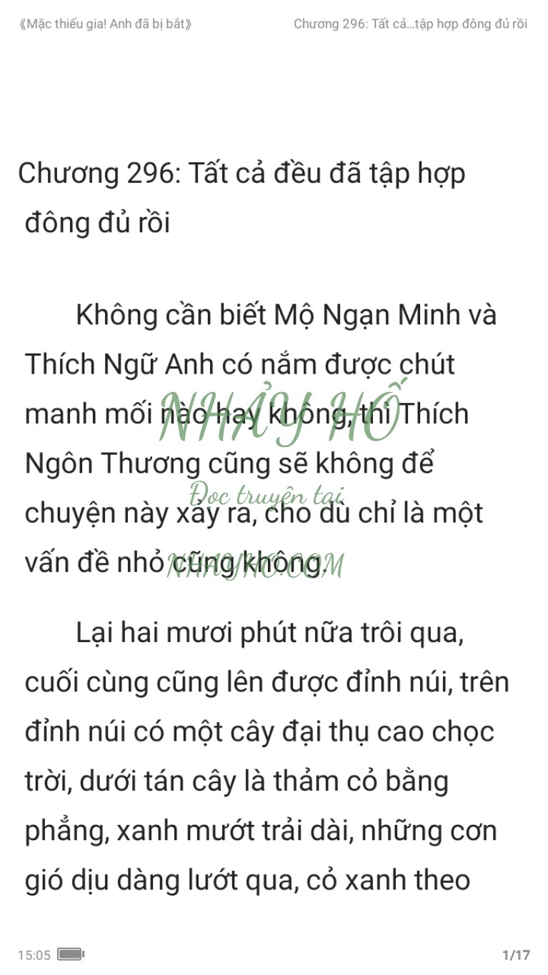 mac-thieu-gia-anh-da-bi-bat-296-0