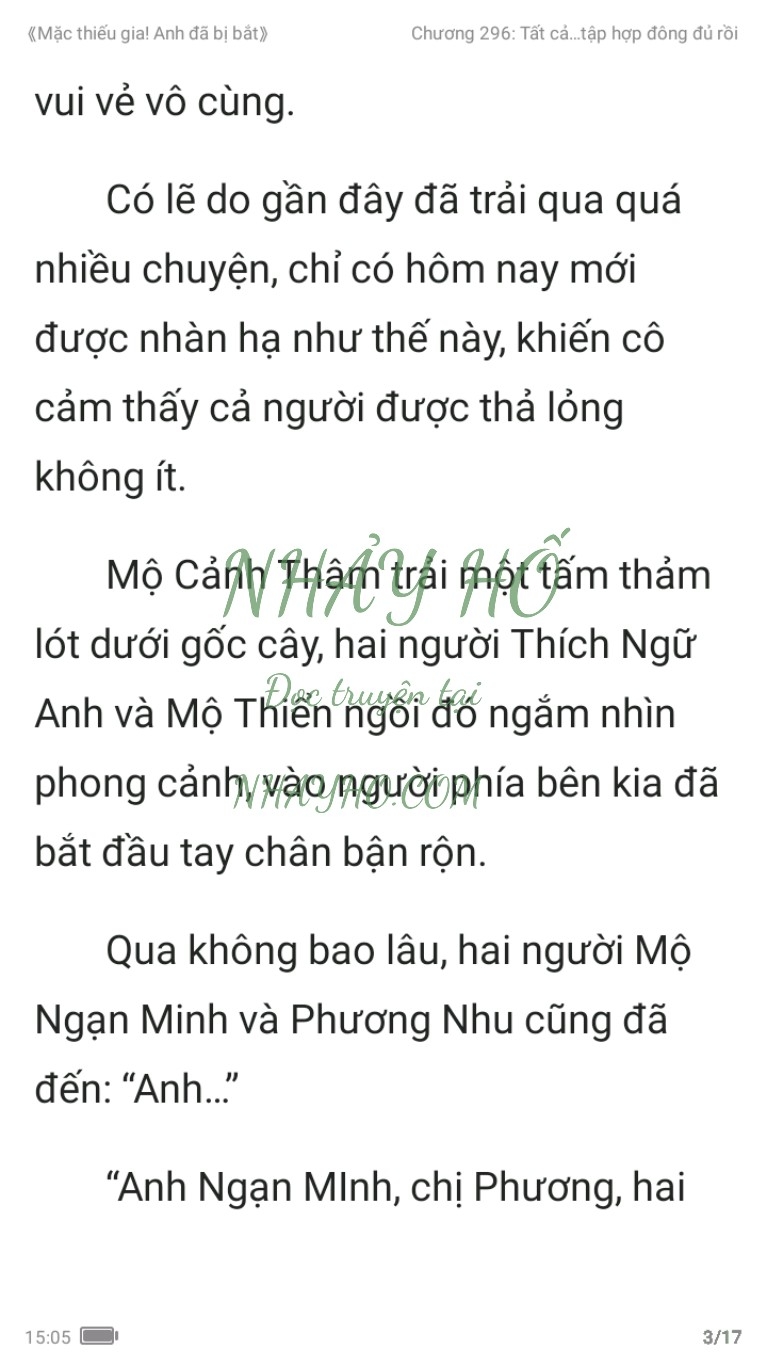 mac-thieu-gia-anh-da-bi-bat-296-2