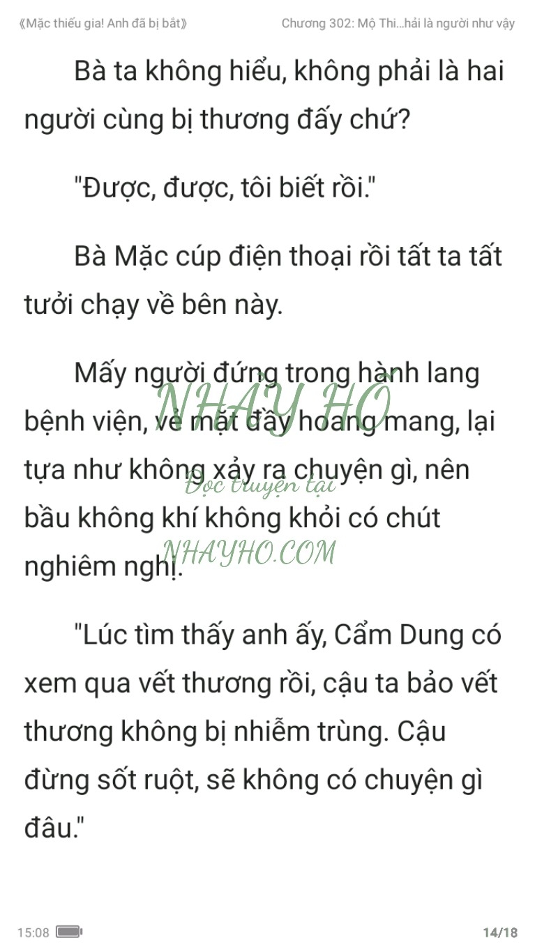 mac-thieu-gia-anh-da-bi-bat-302-13