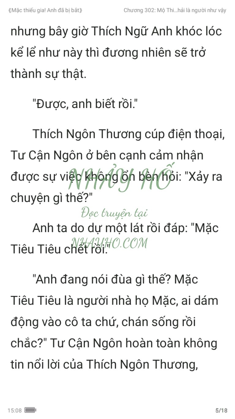 mac-thieu-gia-anh-da-bi-bat-302-4