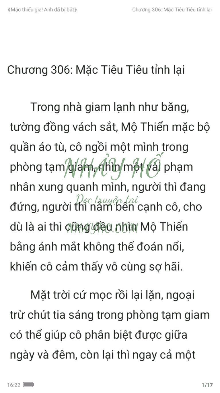 mac-thieu-gia-anh-da-bi-bat-306-0