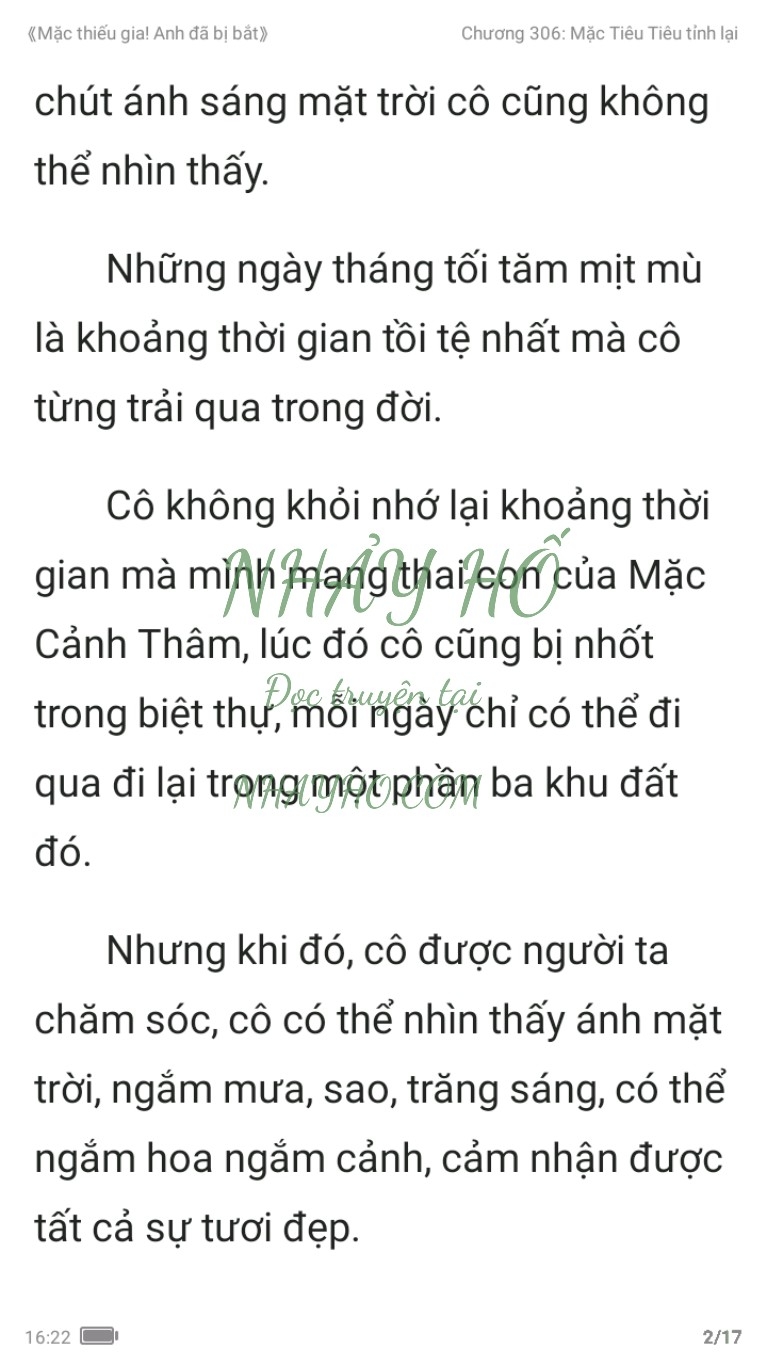 mac-thieu-gia-anh-da-bi-bat-306-1